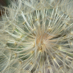 催化转型升级的手机号压测网站