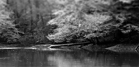 趣味十足的短信轰炸