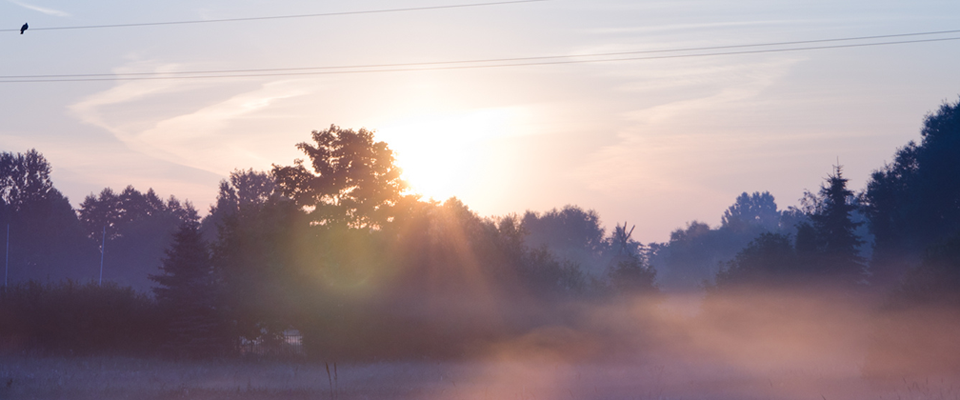 在线永久免费轰炸云呼